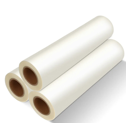 Fast Printing Speed Dye Sublimation Printers Single Sided With Transfer Functionality
