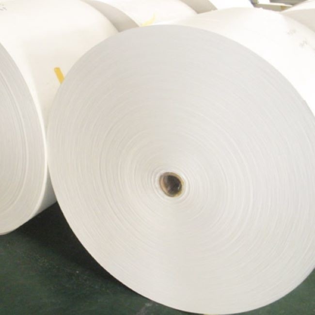 Fast Printing Speed Dye Sublimation Printers Single Sided With Transfer Functionality